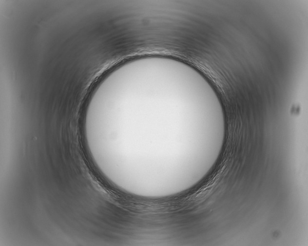 X0000096380256200801241010