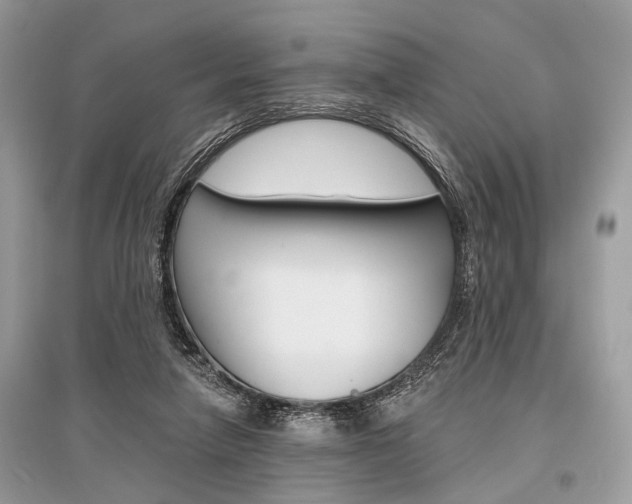 X0000096380258200801241010