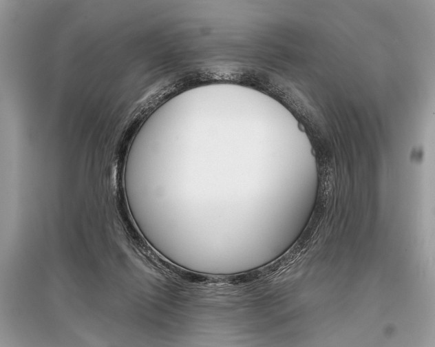 X0000096380262200801241010