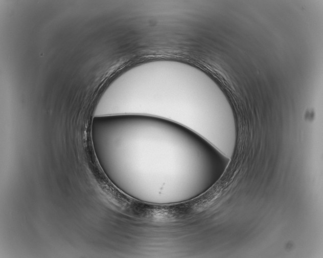 X0000096380264200801241010