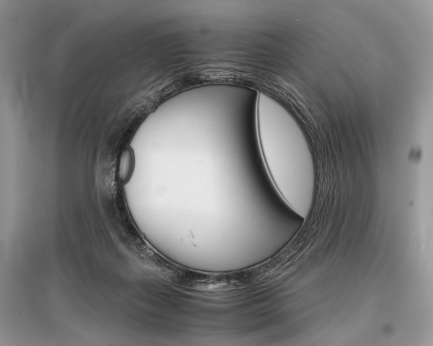 X0000096380267200801241010