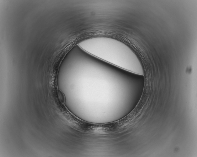 X0000096380268200801241010