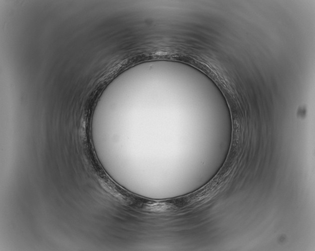 X0000096380269200801241010