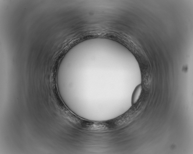 X0000096380270200801241010