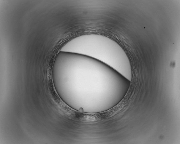 X0000096380272200801241010