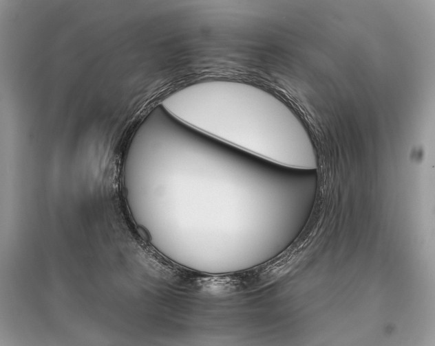 X0000096380273200801241010