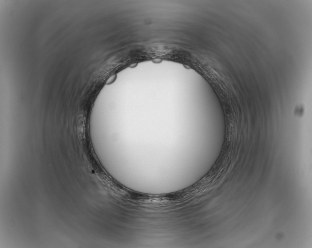X0000096380274200801241010