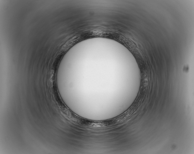 X0000096380275200801241010