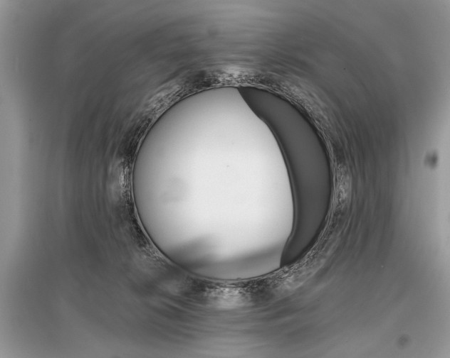 X0000096380276200801241010