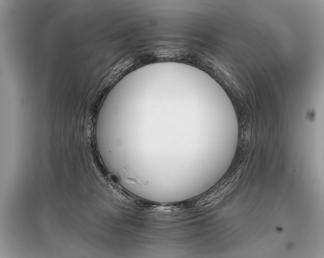 X0000096380277200801241010