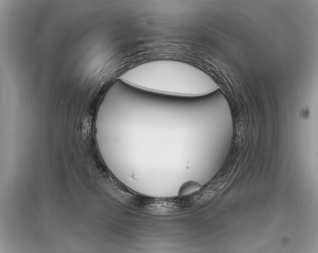 X0000096380278200801241010