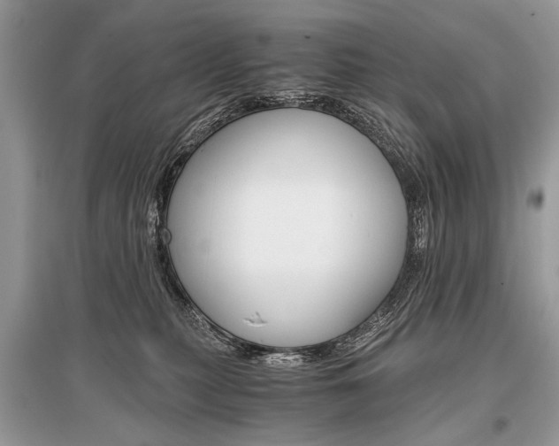 X0000096380279200801241010