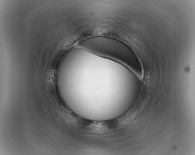 X0000096380280200801241010