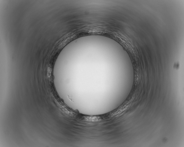X0000096380281200801241010