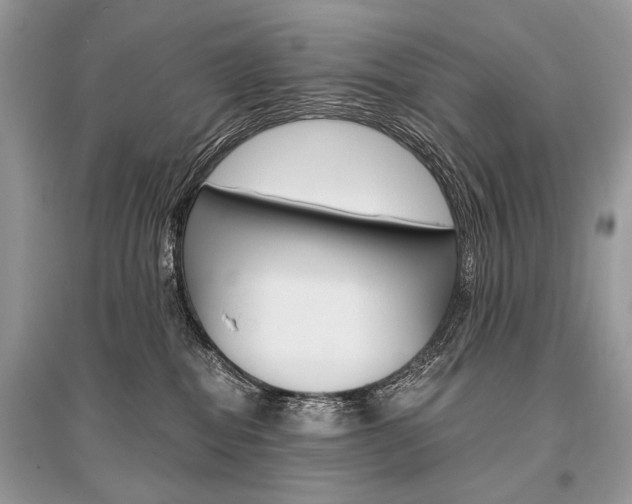 X0000096380282200801241010