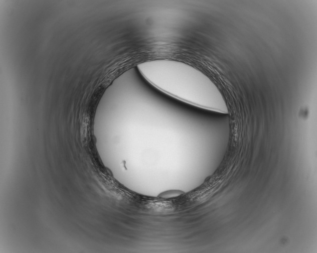 X0000096380283200801241010