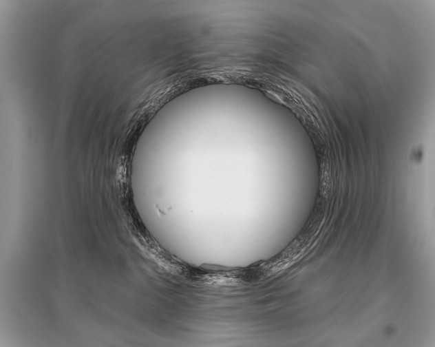 X0000096380284200801241010