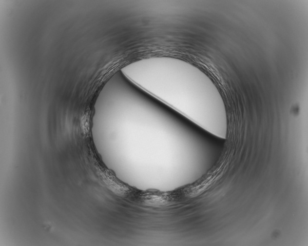 X0000096380285200801241010