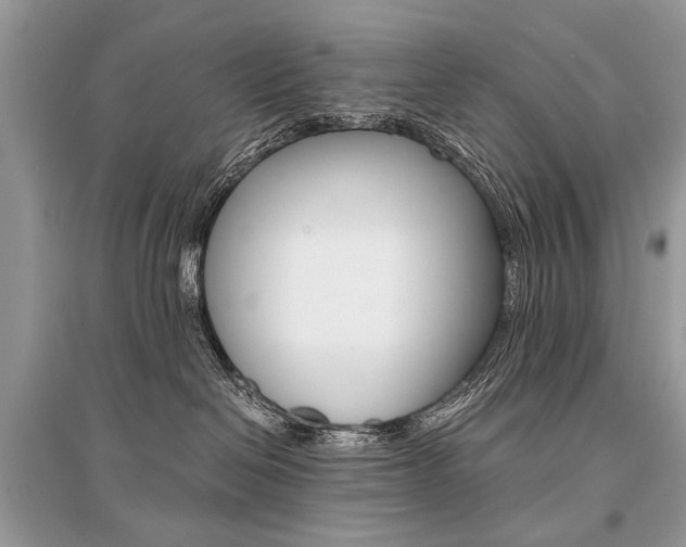 X0000096380286200801241011