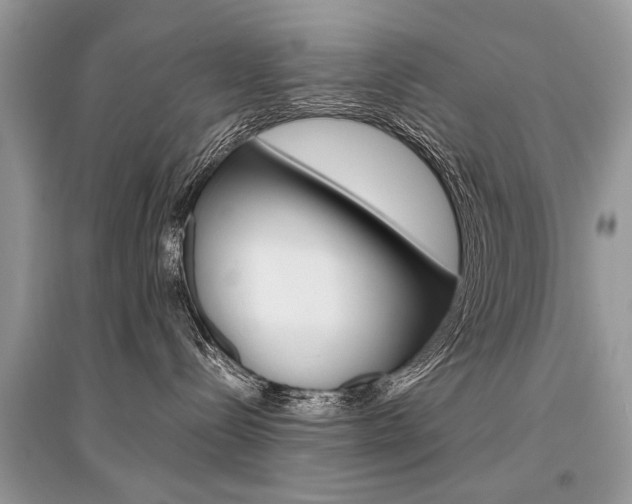 X0000096380288200801241011
