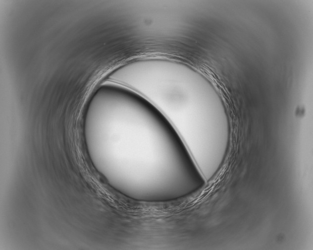X0000096380289200801241010