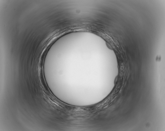 X0000096380290200801241010