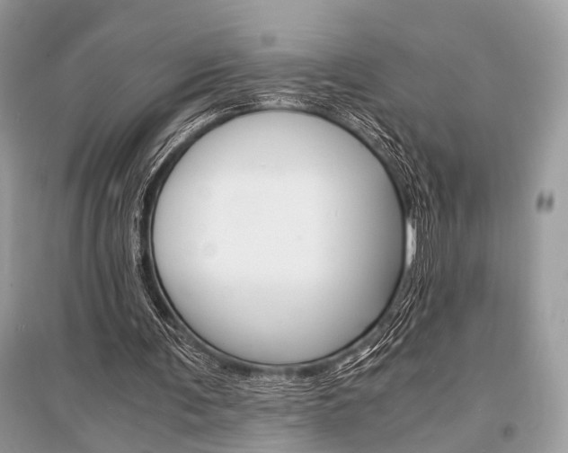 X0000096380291200801241010
