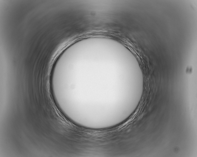 X0000096380293200801241010