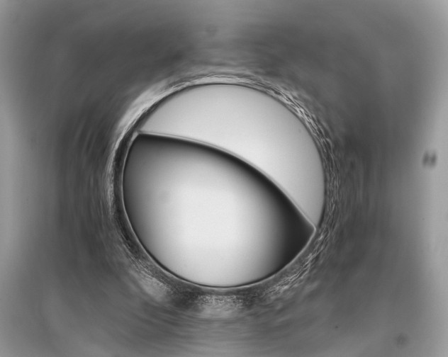 X0000096380296200801241010