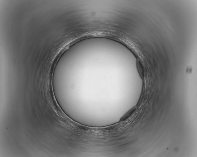 X0000096380297200801241010