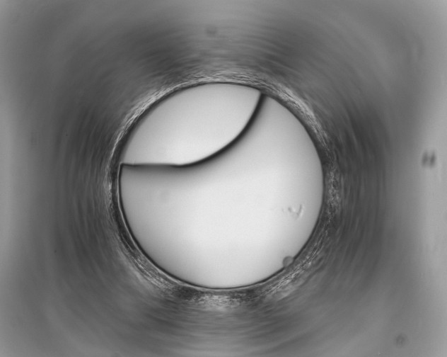 X0000096380298200801241010