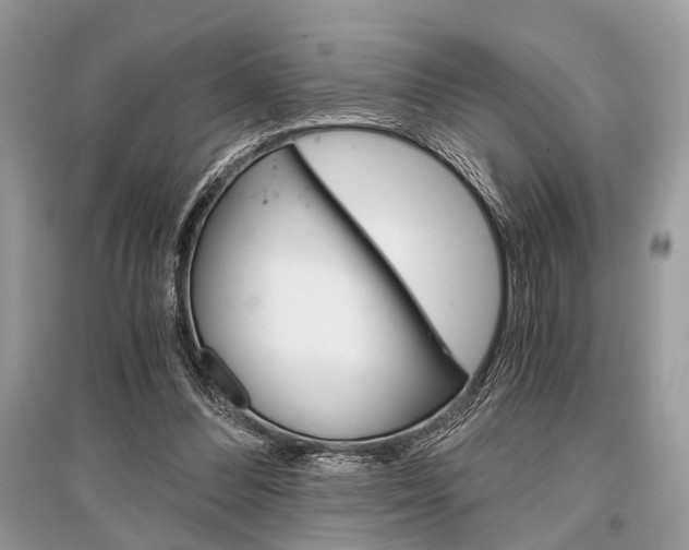 X0000096380300200801241010