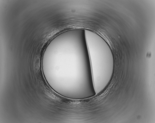 X0000096380301200801241010