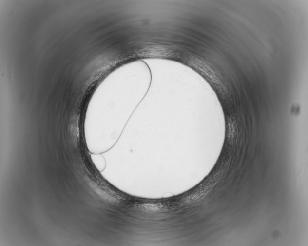 X0000096380302200801241010