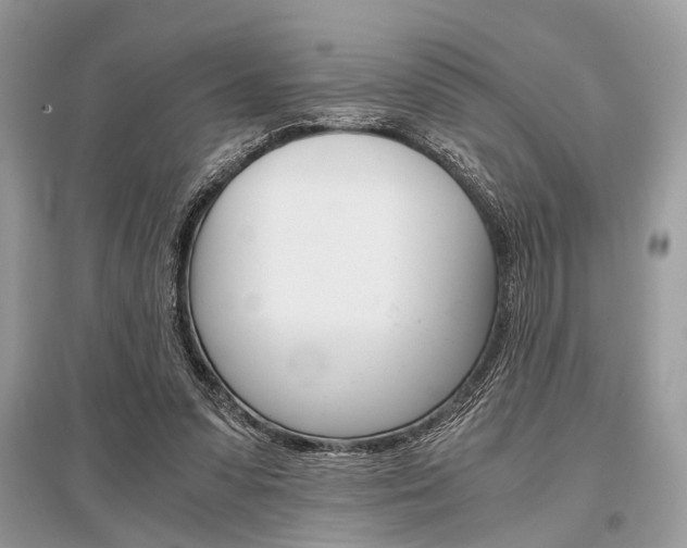X0000096380303200801241010