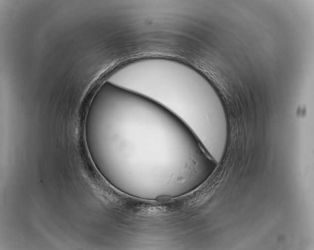 X0000096380304200801241010