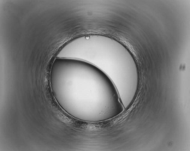 X0000096380305200801241009