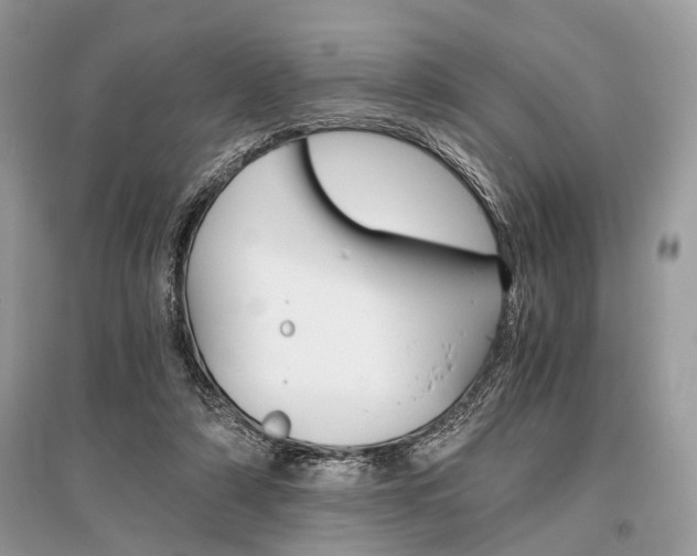 X0000096380306200801241009