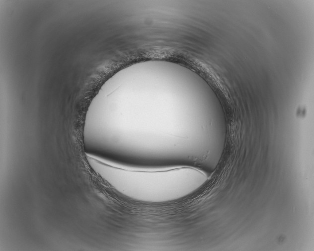X0000096380307200801241009