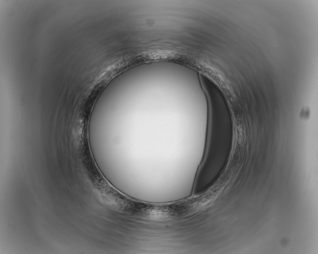 X0000096380308200801241009