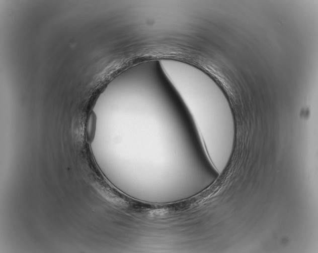 X0000096380309200801241009