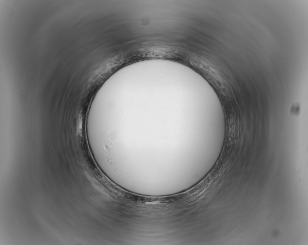 X0000096380310200801241009