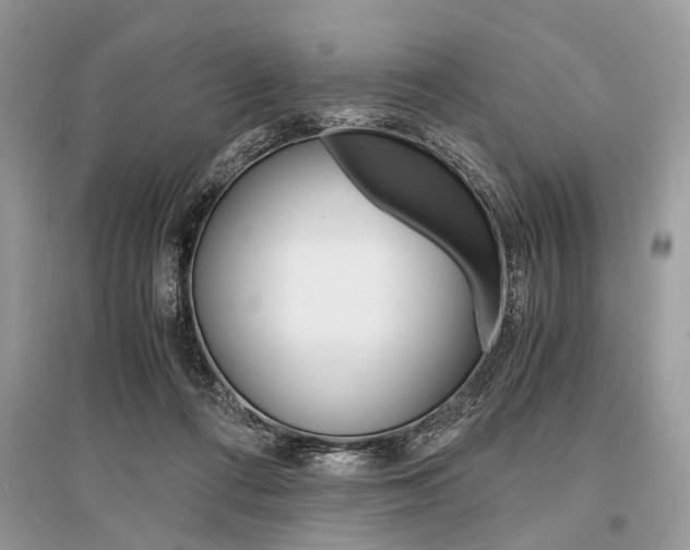 X0000096380312200801241009