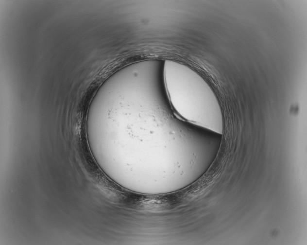 X0000096380315200801241009