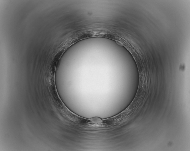 X0000096380316200801241009