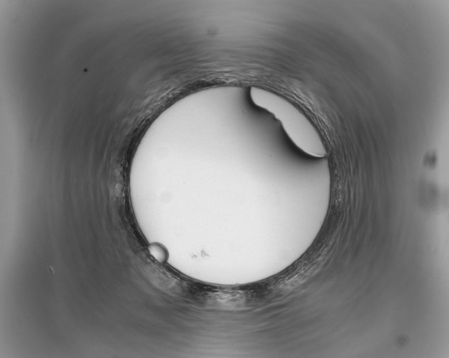 X0000096380317200801241009