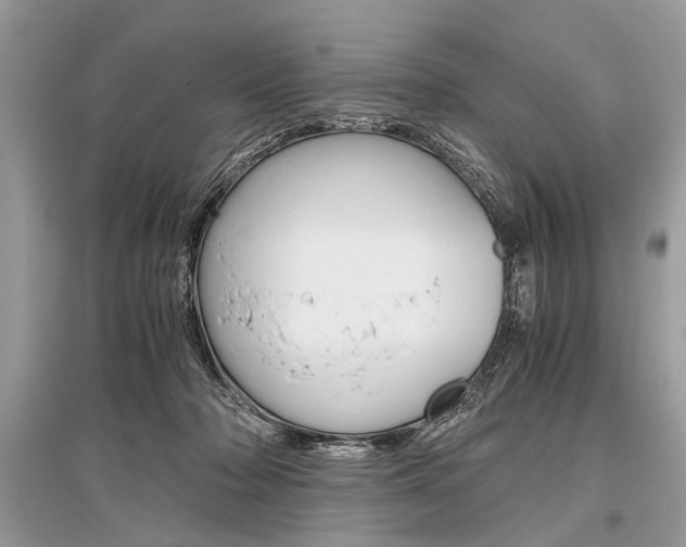 X0000096380318200801241009