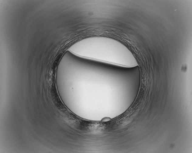 X0000096380319200801241009