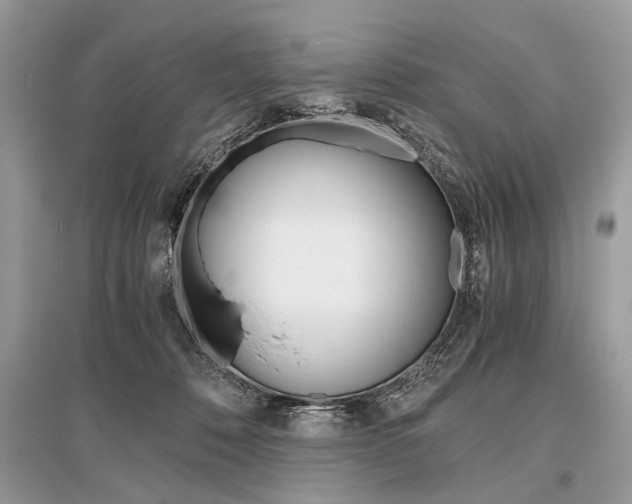 X0000096380320200801241009