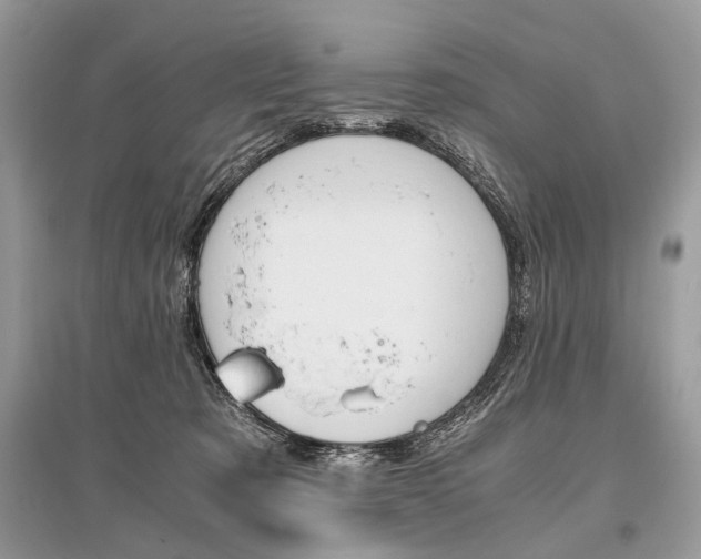 X0000096380321200801241009